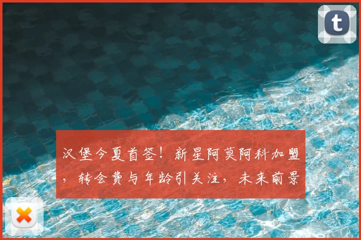 汉堡今夏首签!新星阿莫阿科加盟,转会费与年龄引关注,未来前景如何?