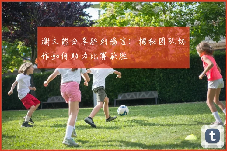 谢文能分享胜利感言：揭秘团队协作如何助力比赛获胜